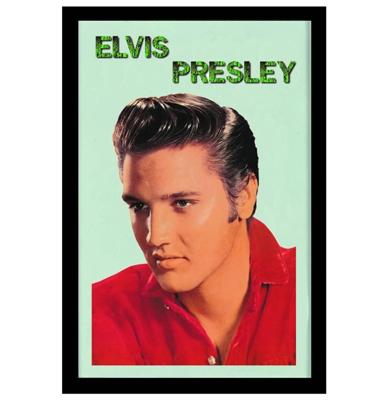 Elvis Presley Spiegel