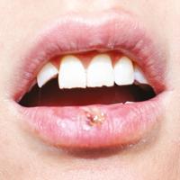 Party Time - LP (8717931338950)