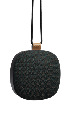Sackit WOOFit Go X Bluetooth speaker Forest