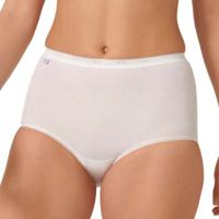 Sloggi 2 stuks Basic Plus Maxi Briefs * Actie *