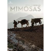 Mimosas (DVD)