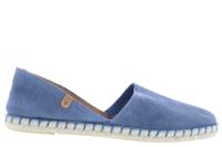 Verbenas Carmen iris lichtblauw 