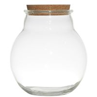 Glazen voorraadpot/snoeppot/terrarium vaas van 19 x 21.5 cm met kurk dop   -