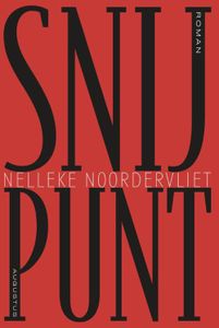 Snijpunt - Nelleke Noordervliet - ebook