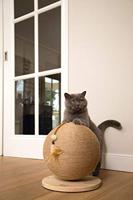 Designed by Lotte Krabbol Balty XL 30 x 30 x 31,5 cm