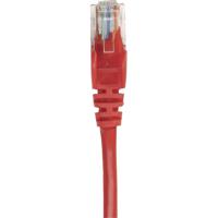 Intellinet 737326 RJ45 Netwerkkabel, patchkabel CAT 5e U/UTP 0.25 m Rood 1 stuk(s) - thumbnail