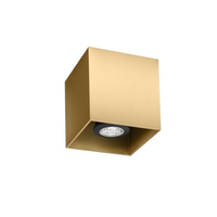 Wever & Ducre - Box 1.0 PAR16 Plafondlamp