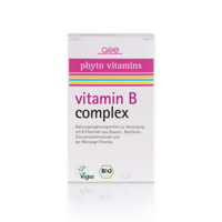 GSE Vitamine B Complex 500mg, 60 Tabletten (30g) bio