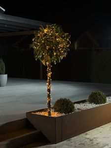 Konstsmide 3640-810 Micro-lichtketting Buiten Energielabel: G (A - G) werkt op het lichtnet Aantal lampen 120 LED Barnsteen Verlichte lengte: 9.52 m