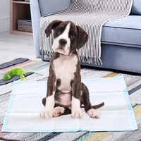 Training Pad Honden Puppy Pad Puppy Hygiëne Pads Wegwerp Pad Plas Pad 150 Stuks