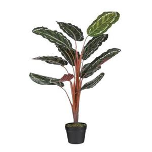 Mica Decorations Calathea Roseopicta Kunstplant - H90 x Ø60 cm - Groen