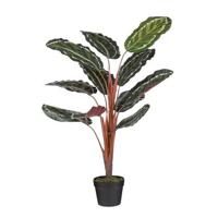 Mica Decorations Calathea Roseopicta Kunstplant - H90 x Ø60 cm - Groen - thumbnail