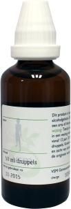 VSM Avena sativa D1 (50 ml)