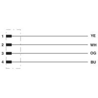 Phoenix Contact 1524307 Sensor/actuator aansluitkabel Aantal polen (sensoren): 4 2.00 m 1 stuk(s) - thumbnail