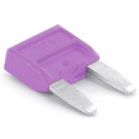 TRU COMPONENTS 8551260 Ministeekzekering (auto) 3 A Violet 1 stuk(s)