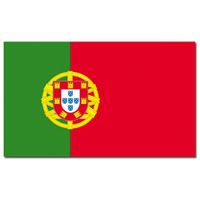 Landen thema vlag Portugal 90 x 150 cm feestversiering