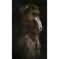 Wanddecoratie Faces 014 70x118cm