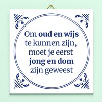 Tegeltje Jong En Dom