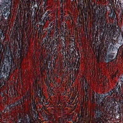 The Prime Same - CD (4059251378228)