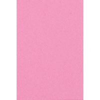 2x Licht roze papieren tafelkleden 137 x 274 cm