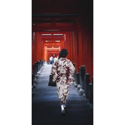 Wanddecoratie Land of the Rising Sun 034 48x98cm