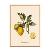 The Dybdahl Co poster Citronier (40x30 cm)