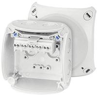 Hensel 62000043 Abzweigkasten (L x B x H) 62 x 93 x 93mm Lichtgrau (RAL 7035) IP66, IP67, IP69 1St.