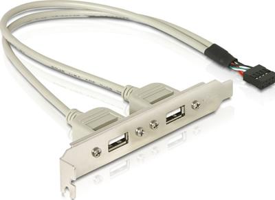DeLOCK Slotbracket 1x internal USB 5pin > 2x USB2.0 external USB-kabel 0,3 m USB A Wit