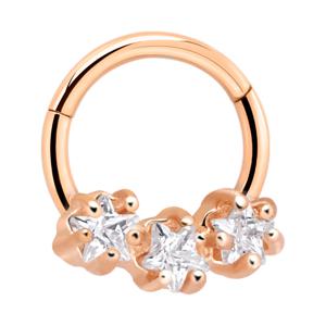 Hinged Segment Ring Met roségoud verguld chirurgisch staal Piercingringen