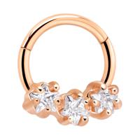 Hinged Segment Ring Met roségoud verguld chirurgisch staal Piercingringen - thumbnail