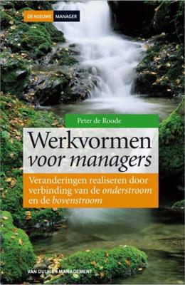 Werkvormen voor managers - Peter de Roode - Hardcover (9789089650320)
