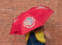 Harry Potter - Hogwarts Colour Change Umbrella (PP6438HP)
