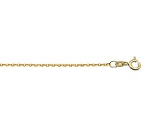 TFT Collier Geelgoud Anker 1,2 mm x 38 cm