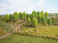 NOCH Deciduous Trees schaalmodel onderdeel en -accessoire Landschap - thumbnail