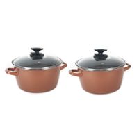 Set van 2x stuks rvs rose kookpan/pan met glazen deksel 24 cm 9 liter