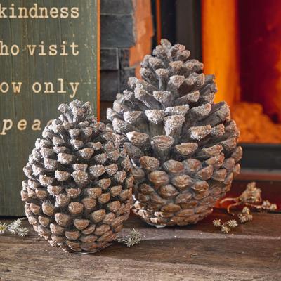 Sierdennenappel set van 2 Nalla Sierdennenappel set van 2 Nalla