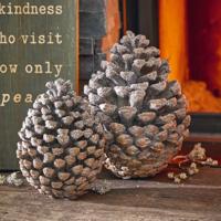 Sierdennenappel set van 2 Nalla