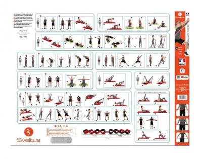 Sveltus poster Elastiband 3-intensiteiten Sveltus poster Elastiband 3-intensiteiten
