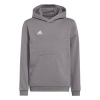 adidas Entrada 22 Sweat Hoodie Kids Grijs Wit