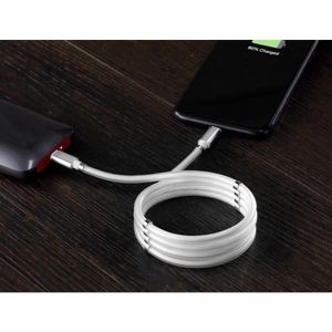 Renkforce USB-kabel USB 2.0 USB-C stekker, Apple Lightning stekker 2.00 m Wit TO-6886782