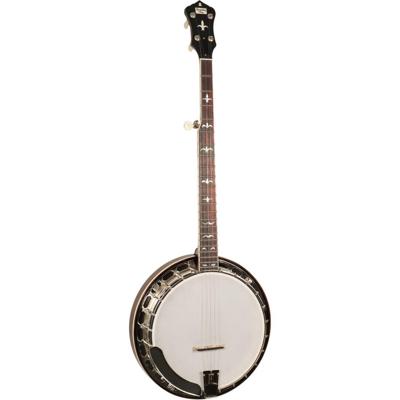 Recording King Madison RK-R35-BR 5-snarige esdoorn resonator banjo met tone ring en armsteun Recording King Madison RK-R35-BR 5-snarige esdoorn resonator banjo met tone ring en armsteun