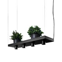 Nowodvorski Hanglamp Plant 4 lichts L 80 cm B 24 cm zwart - thumbnail