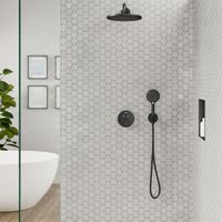 Hansgrohe Showerselect s Doucheset inbouw thermostaat 2 functies mat zwart SW492797 / SW492798 / SW451569 / SW773905 / SW4515