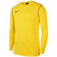 Nike Park 20 Crew Sweater Geel Zwart - thumbnail