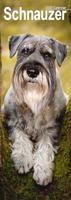 Schnauzer Slim Calendar 2026 Dog Breed Slimline Calendar - 12 Month