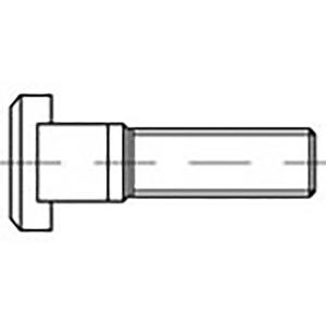 TOOLCRAFT TO-6855786 T-gleufschroeven M24 100 mm DIN 787 Staal 5 stuk(s)