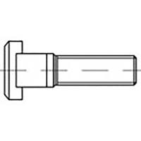 TOOLCRAFT TO-6855786 T-gleufschroeven M24 100 mm DIN 787 Staal 5 stuk(s)