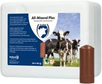 Excellent All-mineral plus