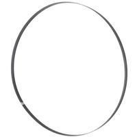 Holzmann Maschinen Bandzaagblad 1826x10x0, T 4mm BSB245HQB10