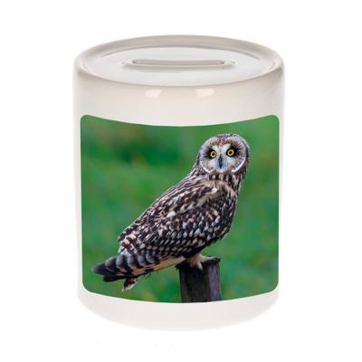 Foto velduil spaarpot 9 cm - Cadeau uilen liefhebber - Spaarpotten Foto velduil spaarpot 9 cm - Cadeau uilen liefhebber - Spaarpotten